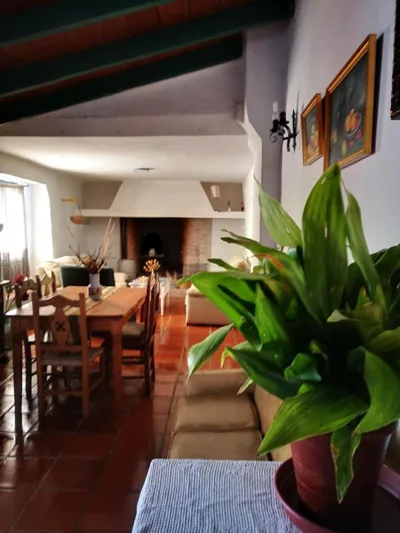 La Rejertilla — foto 4