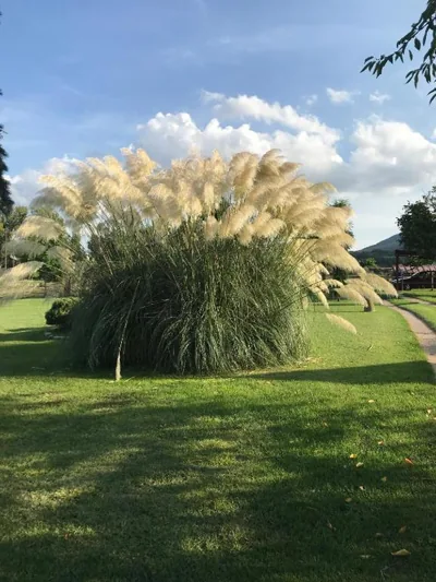 La Riera — foto 11