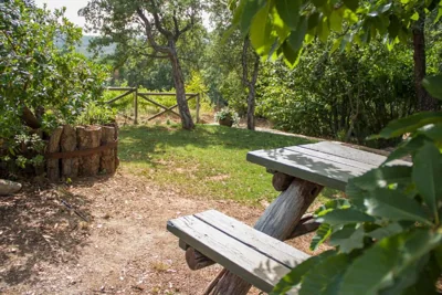 La Simona Casa Rural — foto 11