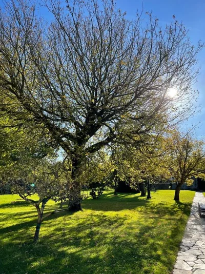 La Solana de Mogro — foto 5
