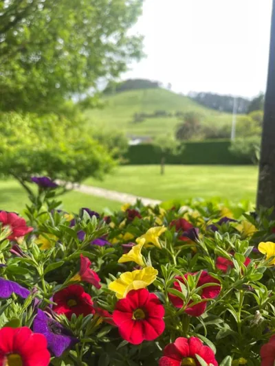 La Solana de Mogro — foto 7