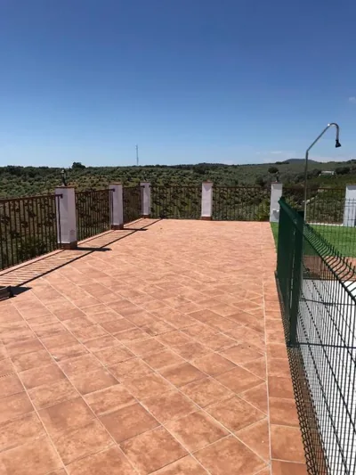 La sombra del lagarto — foto 10
