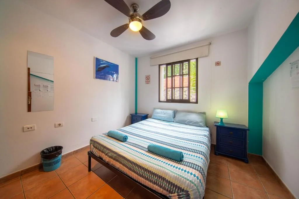 共用バスルーム付きダブルルーム — La Tortuga Hostel
