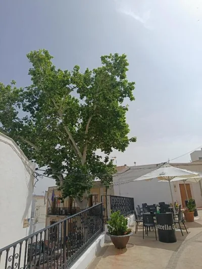 La Troje Pensión — Foto 11