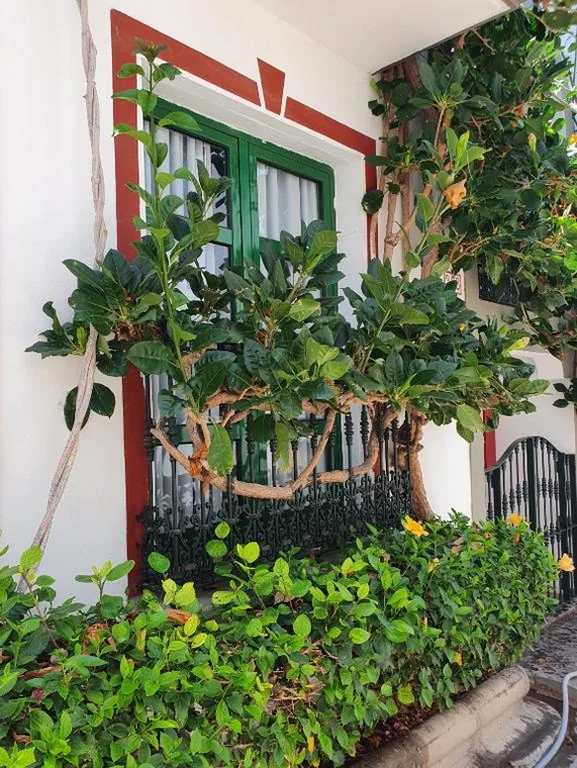 Apartamento Estándar — La Venecia de Canarias