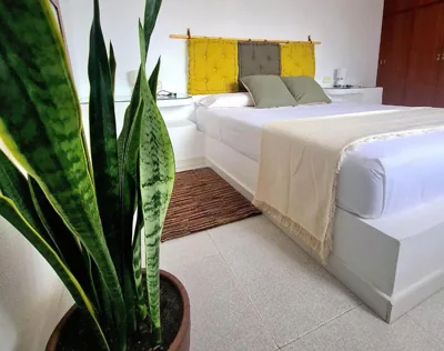 La Yuca Eco Villa con piscina privada y jardín — foto 2
