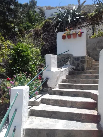 Lagarto — photo 11