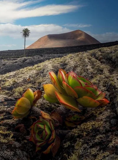 LANZAROTE Casa Volcánica-Anclada sobre la lava del volcán — foto 11