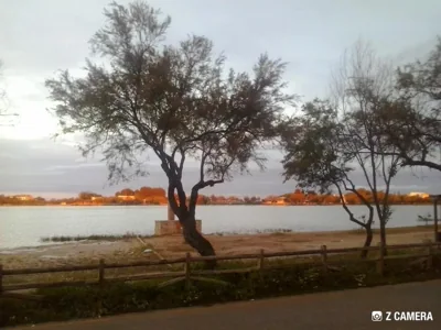 Las Banderas — foto 9