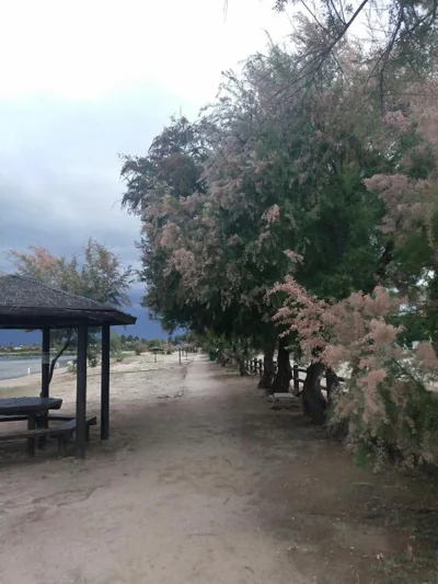 Las Banderas — foto 10