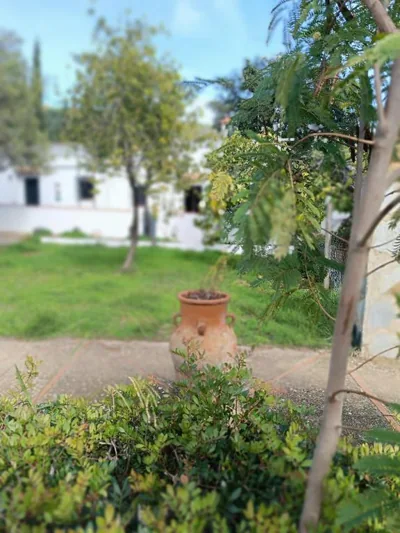 Las Casitas de Higuera — foto 11
