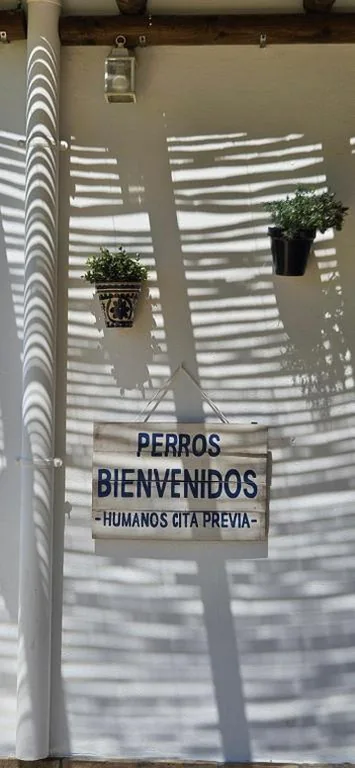 Las Casitas de la Barrosa con jardín y piscina — foto 7