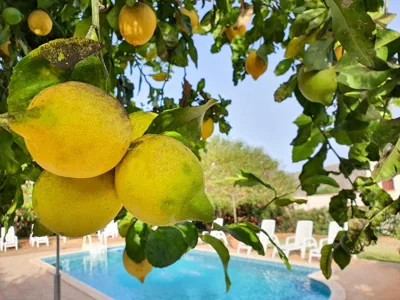 Las Esterlicias ( Villa Rural Ecológica ) — Foto 9