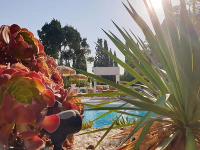 Las Fincas de Annie — foto 12