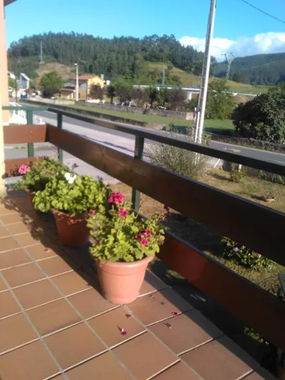 Las Higueras -casa con jardín- — foto 10