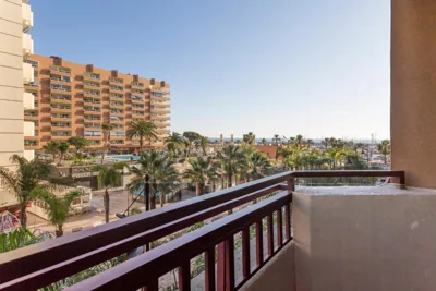 Las Palmeras Affiliated by FERGUS — Foto 7