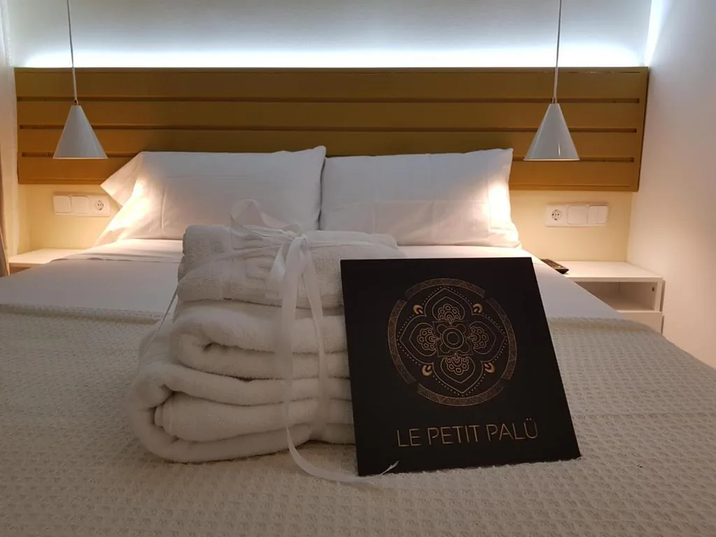 エコノミーダブルルーム — Le Petit Palü-Fuencarral
