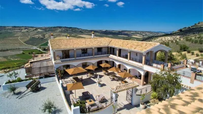 Lemon Tree Retreat at El Amparo — foto 4
