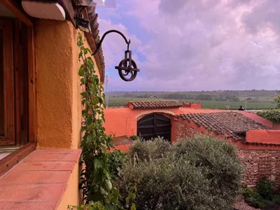 Les Vinyes Alojamiento Rural Boutique & SPA — foto 10