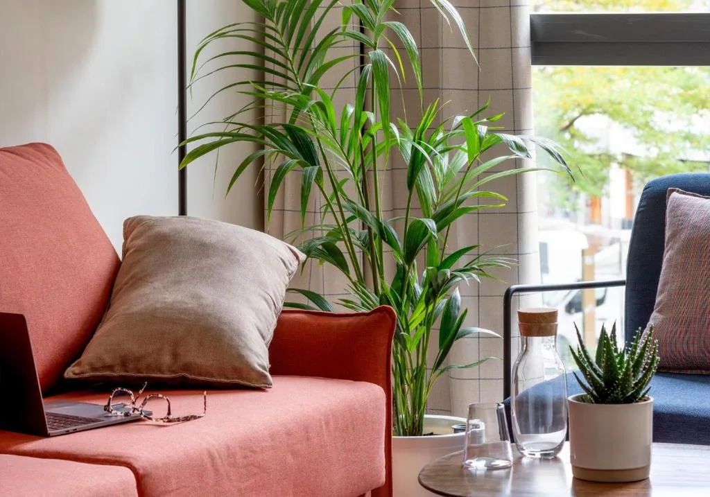 Apartment mit 2 Schlafzimmern — Líbere Vitoria