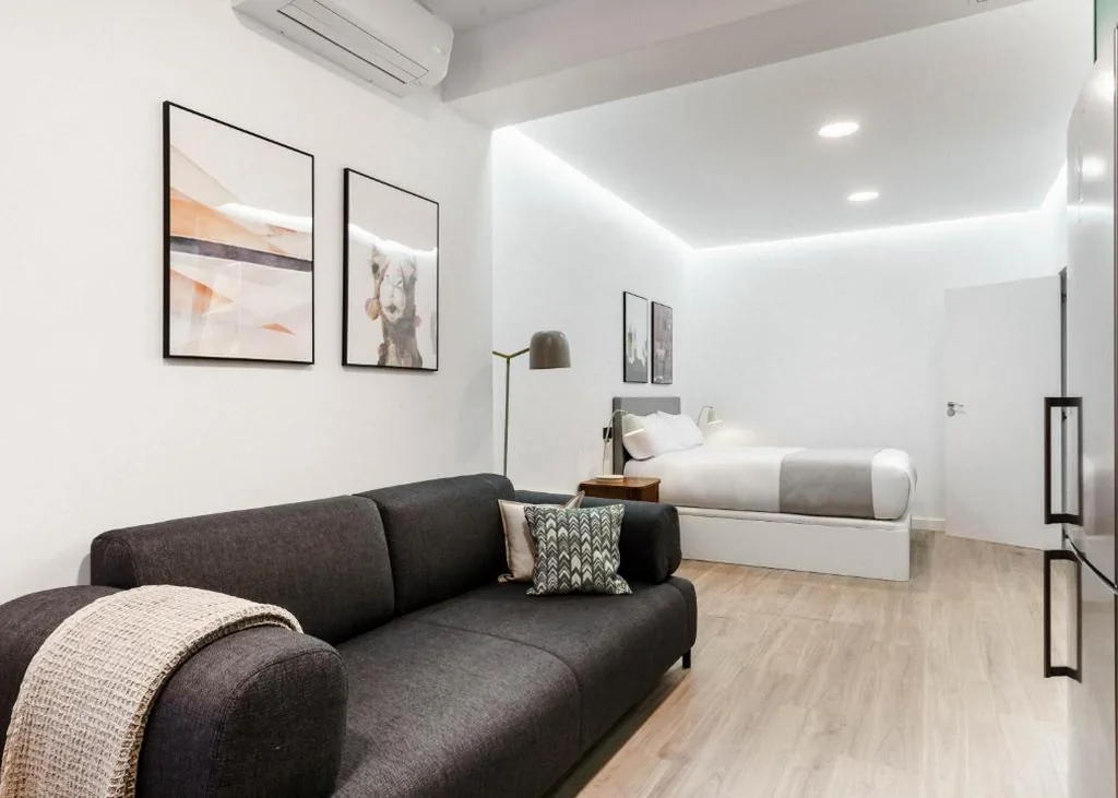 Monolocale con divano letto - accessibile alle persone con disabilità — Limehome Madrid Calle de Matilde Diez