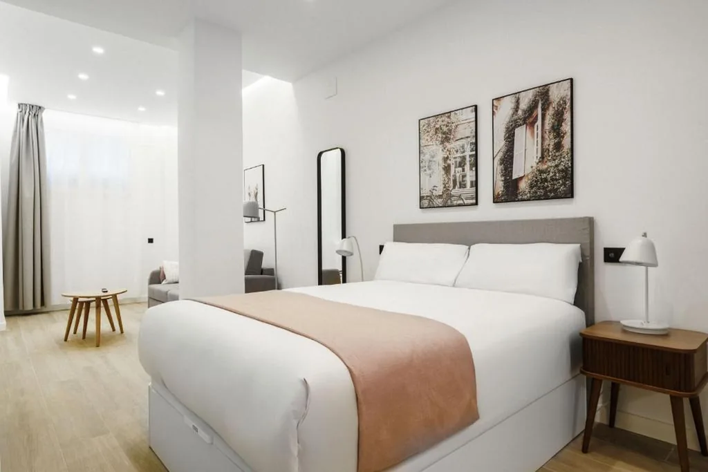 Monolocale Comfort con divano letto — Limehome Madrid Calle de Matilde Diez