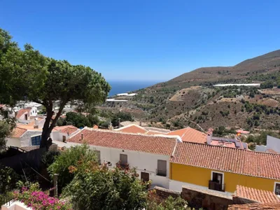 Limonero bnb — photo 10