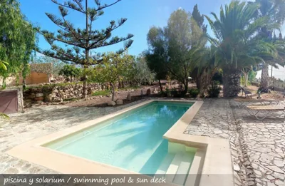 Live Finca San Miguel — Foto 11