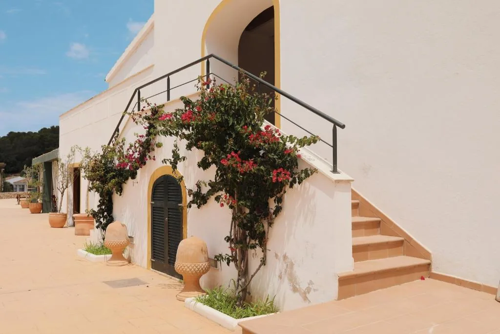 Junior Suite — Llucatx Menorca