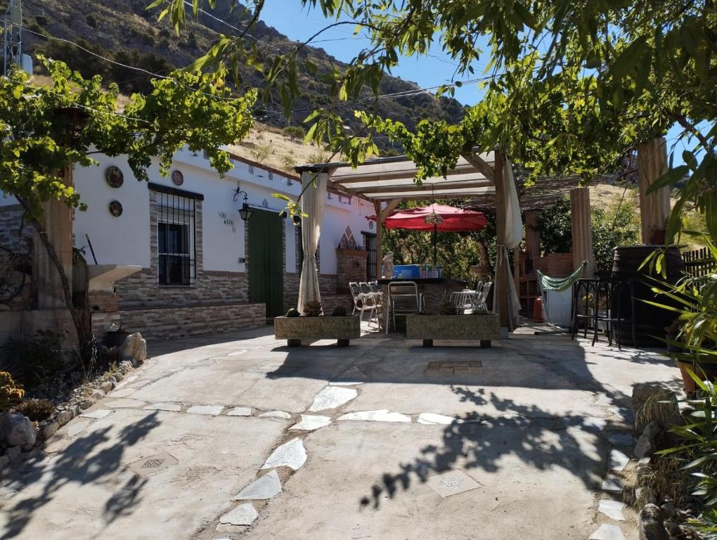 Loma Negra