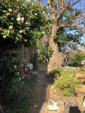 Los Albergues — foto 12