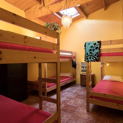 Los Amigos Nest Hostel — photo 4