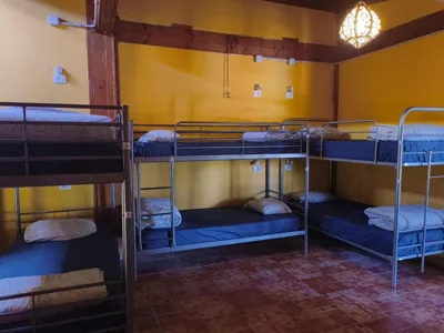 Los Amigos Nest Hostel — photo 6