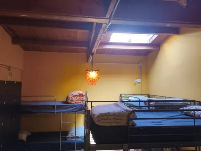 Los Amigos Nest Hostel — photo 7