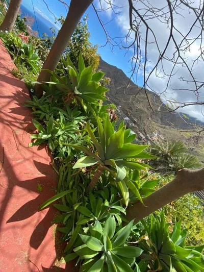 Los Corralitos — photo 11