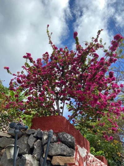 Los Corralitos — photo 12