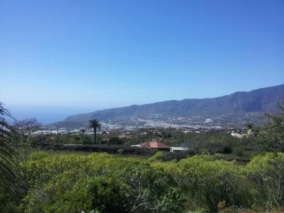 Los Guanches Bungalows — foto 8