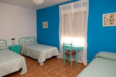 Los olivares de Rober — foto 2