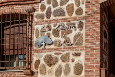 Los olivares de Rober — foto 9