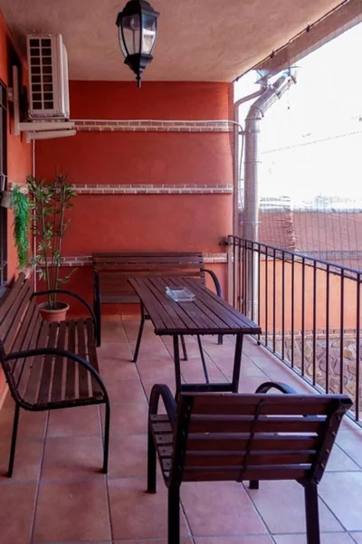 Los olivares de Rober — foto 11