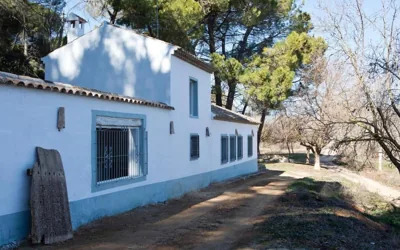 LosGuachos_ casa rural — foto 7
