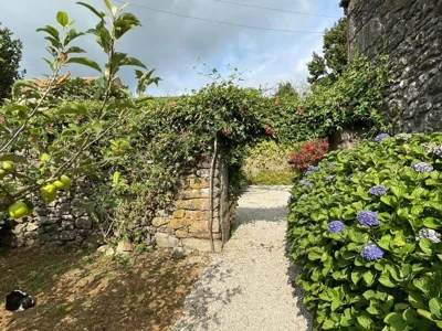 Lugar do Curro, San Martiño de Ozón — foto 10