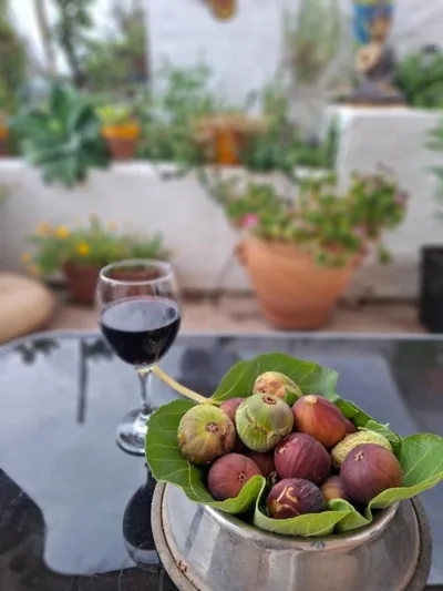 Luxury Rural Casa, Big Terrace, Sea View, 30 min from Málaga — foto 10