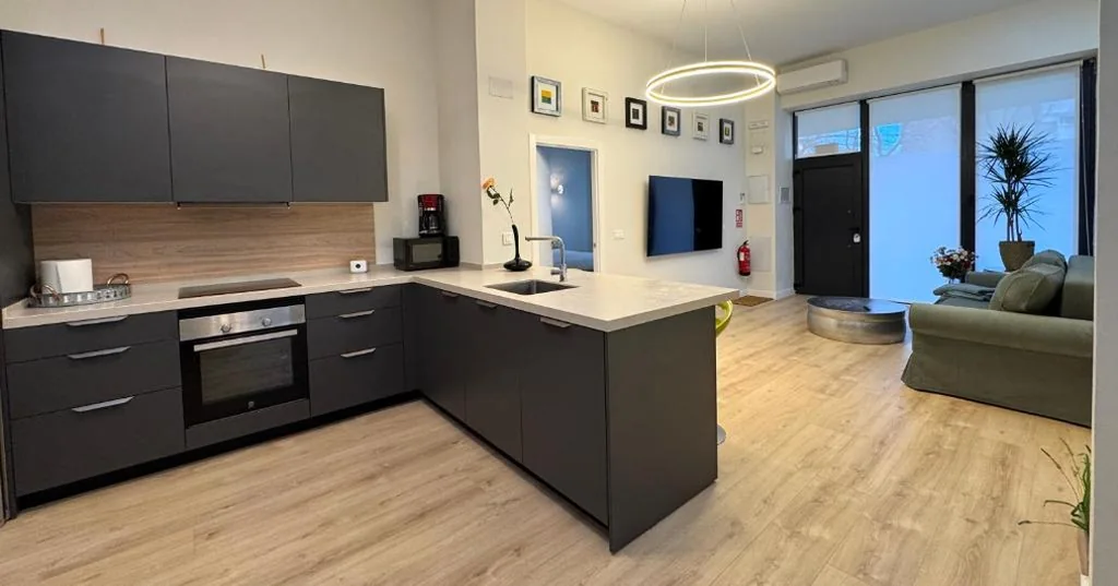 Appartamento con 1 camera da letto — LUXURY SUITE Wifi AC SERVICIOS EN LA PUERTA