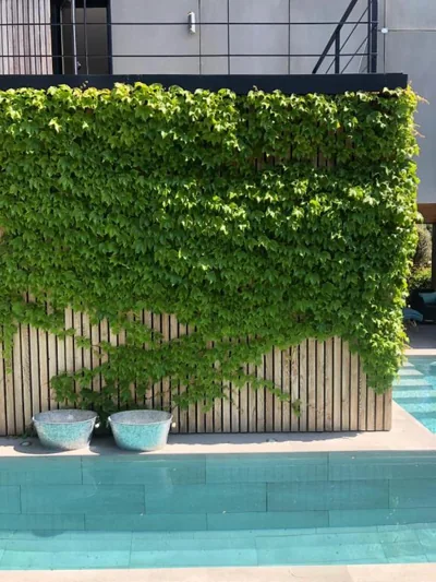 Luxury Villa Beach & Golf — foto 12