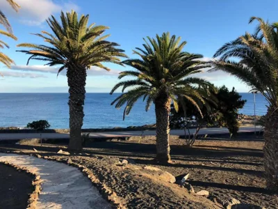 Luxury Villa sea front Costa Teguise — photo 6