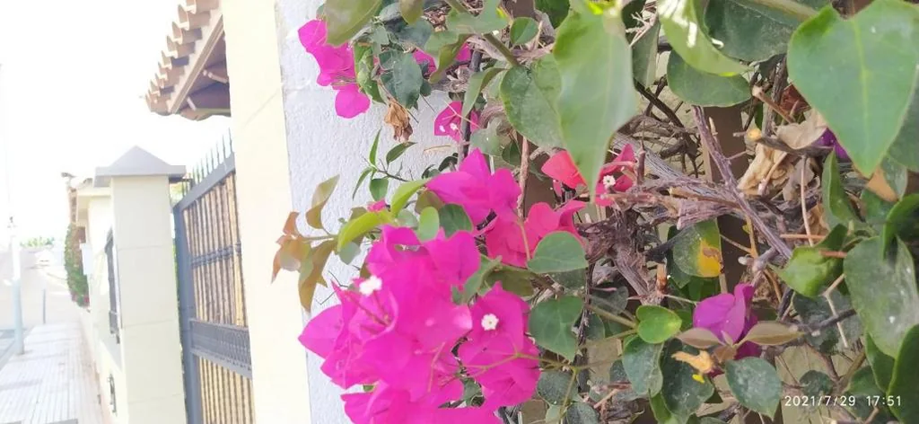 Villa — Magnifica Villa Happy Holidays con piscina en los Gigantes