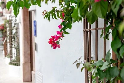 Maison Salva by Santas Hotels — foto 5