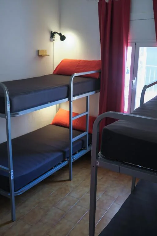 Cama individual en habitación compartida femenina de 4 camas — Mana Mana Youth Hostel