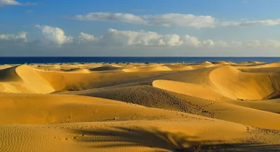 Marbella Golf 101 - Bungalow con 2 dormitorios en Maspalomas — foto 9
